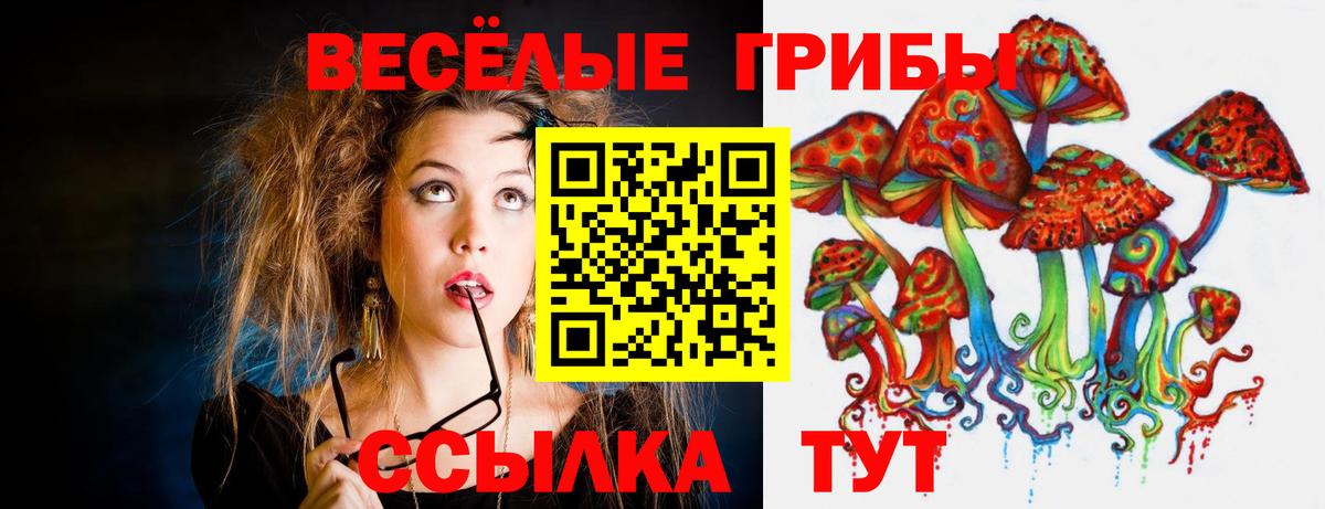 Майкоп  Галлюциногенные грибы мицелий  Вход с VPN  Галлюциногенные грибы GOLDEN TEACHER 