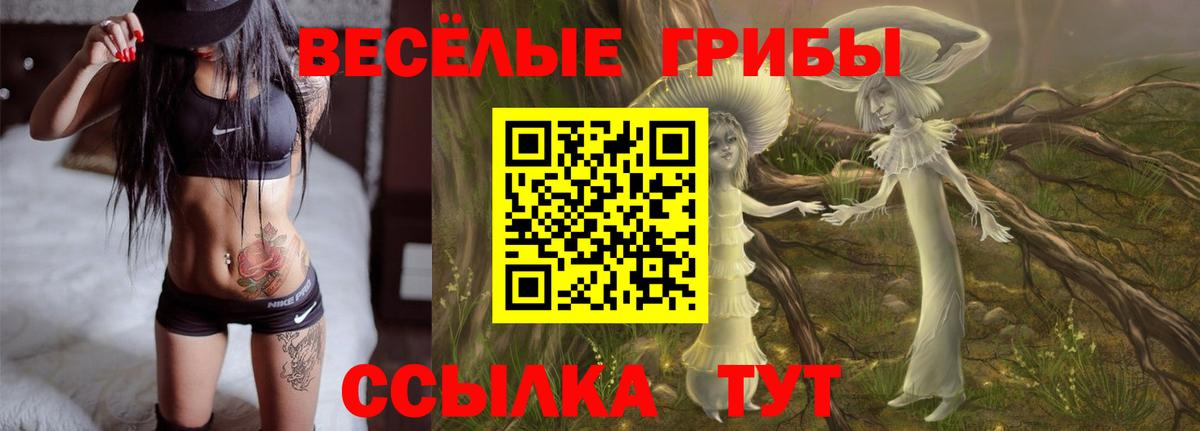 Галлюциногенные грибы мухоморы Майкоп